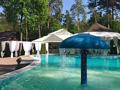 Літній басейн в заміському комплексі Tysha Forest Club в селі Романків біля Києва