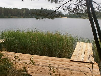 Кришталево чиста вода, соснові ліси, пляжі та рибалка — Блакитні озера в Олешні ідеально підходять для активного й спокійного відпочинку на природі.