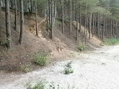 Кришталево чиста вода, соснові ліси, пляжі та рибалка — Блакитні озера в Олешні ідеально підходять для активного й спокійного відпочинку на природі.
