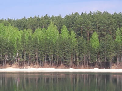 Блакитні озера в Олешні — відпочинок серед сосен і води