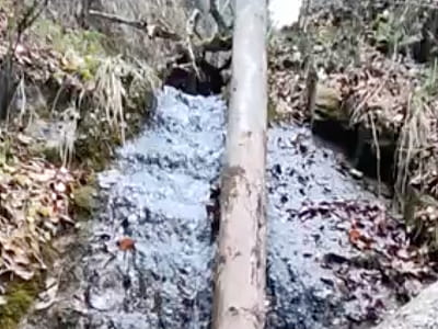 Водоспад Крутий — дикі каскади та сховані стежки Вижниччини