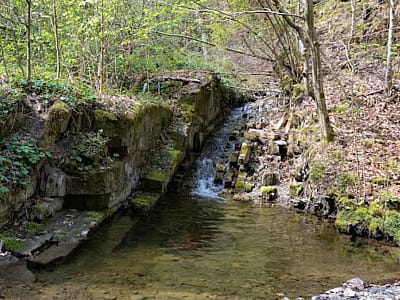 Водоспад Лісківець на Буковині — невеликий, але мальовничий водограй серед лісу, ідеальне місце для фотосесій, прогулянок і відпочинку на природі.