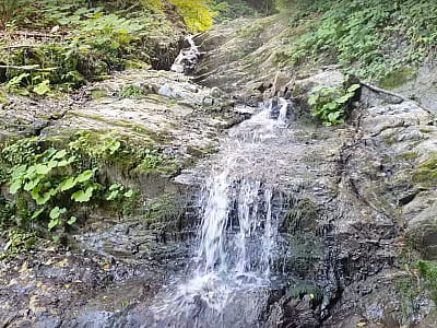 Відкрийте для себе водоспад Манівлоги у Карпатах – мальовничий, маловідомий куточок природи, ідеальний для хайкінгу, фото та відпочинку на природі.