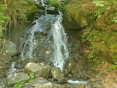Водоспад Шипун біля Синевира — тиша, сила і магія Карпат