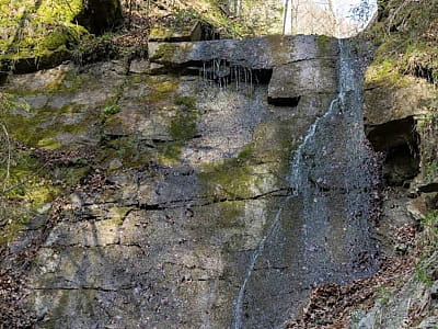 Водоспад Скальда у Виженці – мальовниче місце з каскадними потоками, історією та легендами. Відвідайте, щоб відчути магію природи та спокій Карпат.