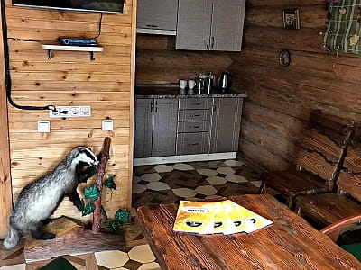 Заміський комплекс "Золотий дуб" — басейн, баня, чан, смачна кухня та комфортні котеджі всього за 10 хв від Києва. Ідеальний відпочинок для всієї родини.