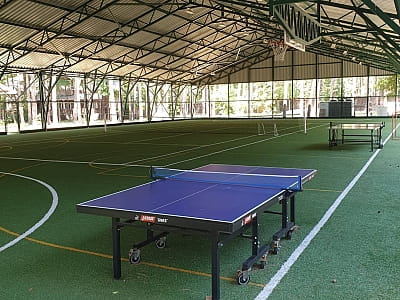 настільний теніс в заміському комплексі Glibivka Family Park в селі Глібівка на березі Київського моря