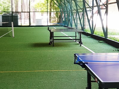 настільний теніс в заміському комплексі Glibivka Family Park в селі Глібівка на березі Київського моря