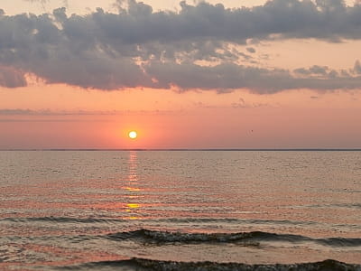 Відпочинок у Ліс&More: басейни з морською панорамою, сауна, чан, котеджі, ресторан, BBQ-зони, заходи та затишок серед сосен неподалік Києва.
