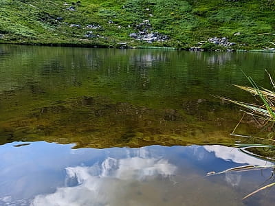 Купання в озері Несамовите в Карпатах в Івано-Франківській області України