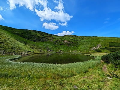 Гірське озеро Несамовите в Карпатах - місце з красивою природою, чистою водою та чарівною атмосферою.