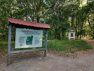 Онуфріївський дендропарк — перлина Кіровоградщини