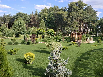Приютівський дендропарк — відпочинок на Інгульці