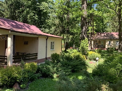 Номери та котеджі в заміському комплексі «Dibrova Club» у місті Фастів