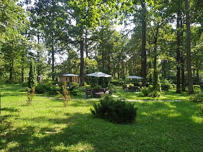 Заміський комплекс «Dibrova Club» у Фастові — комфортне проживання, ресторан, розваги та природа для сімейного відпочинку, свят і релаксу біля Києва.