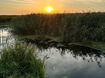 Природа поруч з заміським комплексом DOGODA в селі Дзвінка Київської області