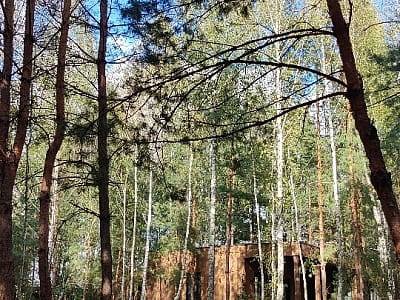 Природа поруч з заміським комплексом DOGODA в селі Дзвінка Київської області