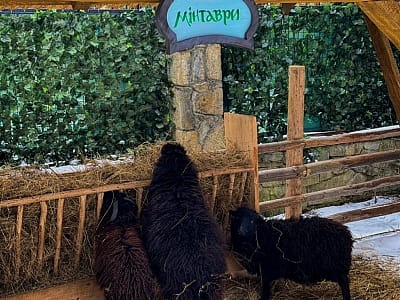 Зоопарк у Ґедзьо Парку Легенд у Яремче