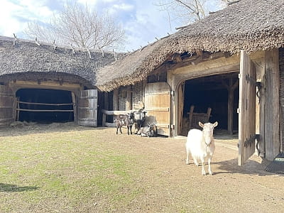 Музей-скансен «Козацькі землі України» у Вереміївці