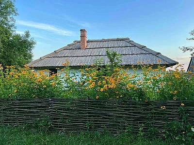 Унікальний скансен у Рокинях біля Луцька — музей просто неба, де оживає побут волинського села ХІХ століття та історія українського хліборобства.