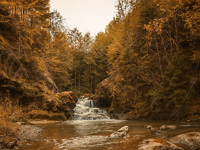 Водоспад Бездежський у Ґорґанах – мальовничий каскад на потоці між селами Суходіл і Луги. Тиха природа, фотолокації та відпочинок у Карпатах.