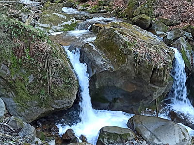 Водоспад Дівочі Коси на Закарпатті – мальовничий куточок біля Лікіцарів. Дві стрічки води серед гір, прохолода в спеку та спокій для мандрівників.