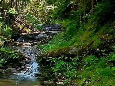 Водоспад Черетів Верхній у Карпатах – каскадний водограй заввишки 2 м на висоті 715 м. Зручний маршрут, мальовниче русло та поряд скелі «Писаний Камінь».