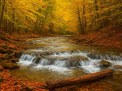 Ілемнянський Верхній водоспад у Карпатах: мальовничі пороги річки Ілемка біля села Суходіл, можливість відпочинку, фотозйомки та прогулянок у горах.