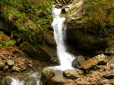Водоспад Кам’яний у Рахові – мальовничий куточок Карпат. Легкодоступний, тихий і малолюдний, ідеальний для прогулянки, фото та відпочинку в лісі.