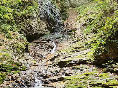 Водоспад Довбуш у Карпатах: 14-метровий потік серед диких скель, легенди про опришків і чудові місця для відпочинку поблизу Великого Рожина.