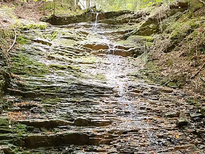 Водоспад Дзвінка в Карпатах: 10-метровий каскад у Великому Рожині, оповитий легендою про кохання Довбуша та Дзвінки. Маршрути й враження.