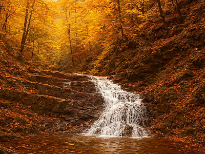 Водоспад Гірський трон біля Берегомета: висота 7 м, три уступи, казковий лісовий рельєф. Чудове місце для відпочинку, фото та мандрів Карпатами.