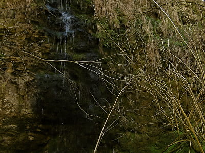 Водоспад Кулівецький у Чернівецькій області — мальовничий куточок природи з історією, легендами та чудовими краєвидами над Дністром.