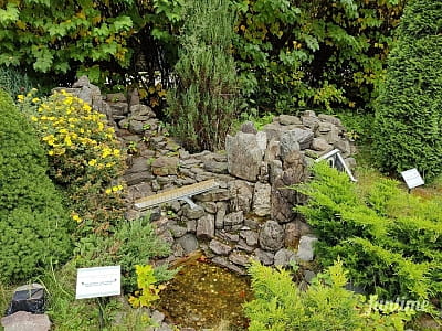 Мініатюра мосту в місті Яремче в парку-музеї «Карпати в мініатюрі» в місті Яремче.