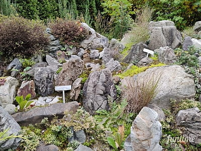 Мініатюра карпатських гір у парку-музеї «Карпати в мініатюрі» в місті Яремче.