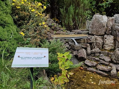 Мініатюра пішохідного мосту над водоспадом Пробий у парку-музеї «Карпати в мініатюрі» в місті Яремче.