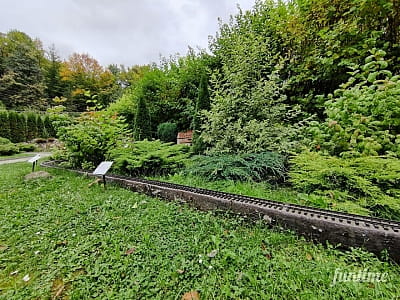 Парк-музей «Карпати в мініатюрі» в місті Яремче.