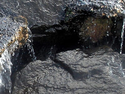 Водоспад Трон на річці Великорожинка біля Яворова — 6-метровий каскад у Карпатах. Важкодоступний, мальовничий, особливо гарний після дощів.