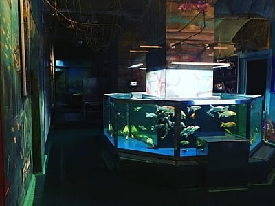 Музей Води у Києві – інтерактивний центр у Хрещатому парку. Історія водогону, експозиції, акваріуми та унікальні експерименти з водою для дітей і дорослих.