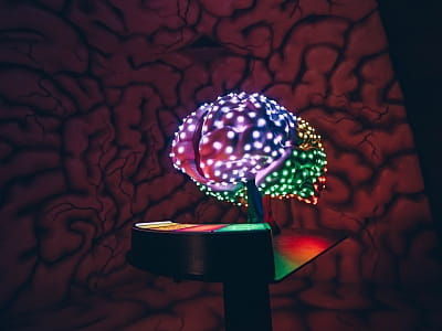 Музей «Всередині людини» у Києві — інтерактивна подорож людським тілом. Гігантські органи, світлові та звукові ефекти, пізнання через розвагу.