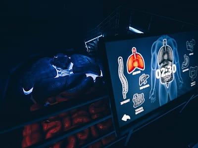 Музей «Всередині людини» у Києві — інтерактивна подорож людським тілом. Гігантські органи, світлові та звукові ефекти, пізнання через розвагу.