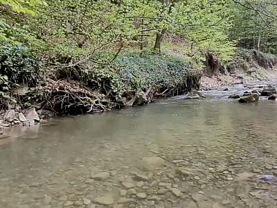 Вижнецькі водоспади на річках Виженка та Мала Виженка – мальовничі каскади Карпат, ідеальні для відпочинку, походів та фотосесій серед природи.
