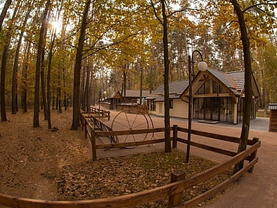 Парк-готель «Чудодієво» — відпочинок серед соснового лісу біля озера. Басейн, лазня, чан, ресторан, риболовля, апітерапія та котеджі для всієї родини.