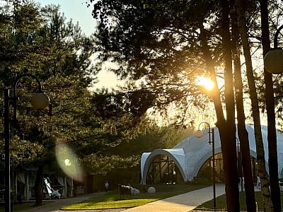 Парк-готель «Чудодієво» — відпочинок серед соснового лісу біля озера. Басейн, лазня, чан, ресторан, риболовля, апітерапія та котеджі для всієї родини.