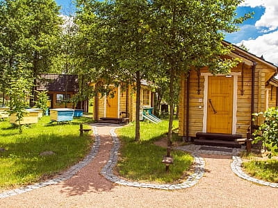 бджолина терапія в аппі будиночках в заміському комплексі «Чудодієво» в селі Вишпіль Житомирської області