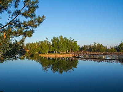 озеро з вимостками в заміському комплексі «Чудодієво» в селі Вишпіль Житомирської області