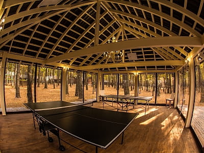 настільний теніс в заміському комплексі «Чудодієво» в селі Вишпіль Житомирської області