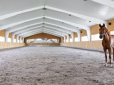 Кінно-спортивний комплекс DERGACHOV у селі Верем'я Київської області