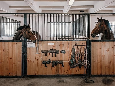 Кінно-спортивний комплекс DERGACHOV у селі Верем'я Київської області