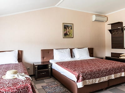 готельні номери в заміському комплексі DERGACHOV в селі Верем'я Київської області